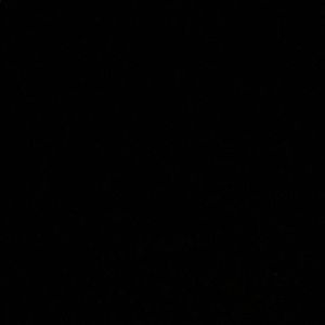 Meet your Posher, Ellie